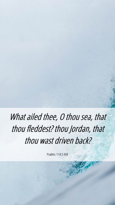 Picture 06 - Psalms 114:5 KJV Mobile Phone Wallpaper - What ailed thee, O thou sea, that thou fleddest? - Mobile Bible Verse Wallpaper