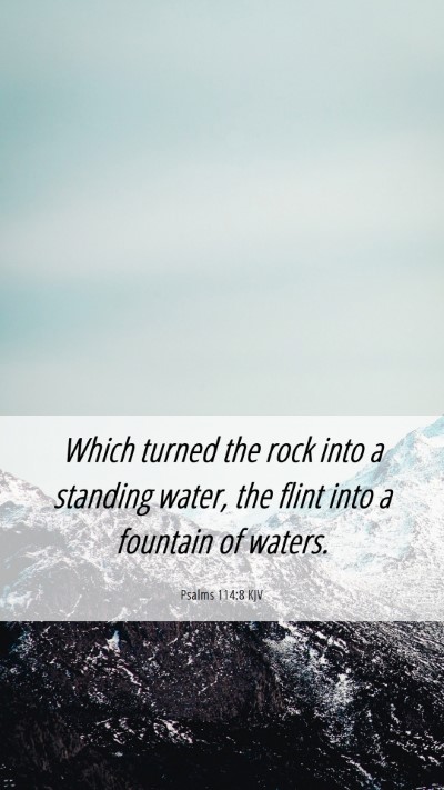 Picture 06 - Psalms 114:8 KJV Mobile Phone Wallpaper - Which turned the rock into a standing water, the - Mobile Bible Verse Wallpaper