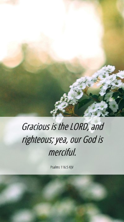 Picture 06 - Psalms 116:5 KJV Mobile Phone Wallpaper - Gracious is the LORD, and righteous; yea, our God - Mobile Bible Verse Wallpaper