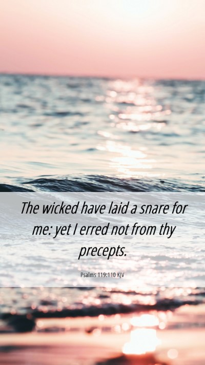 Picture 06 - Psalms 119:110 KJV Mobile Phone Wallpaper - The wicked have laid a snare for me: yet I erred - Mobile Bible Verse Wallpaper