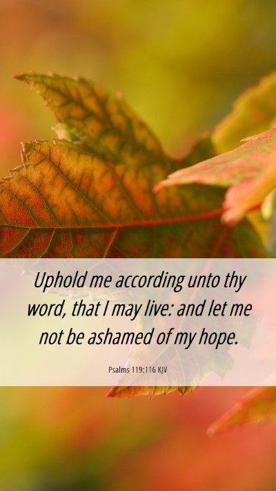 Picture 06 - Psalms 119:116 KJV Mobile Phone Wallpaper - Uphold me according unto thy word, that I may - Mobile Bible Verse Wallpaper