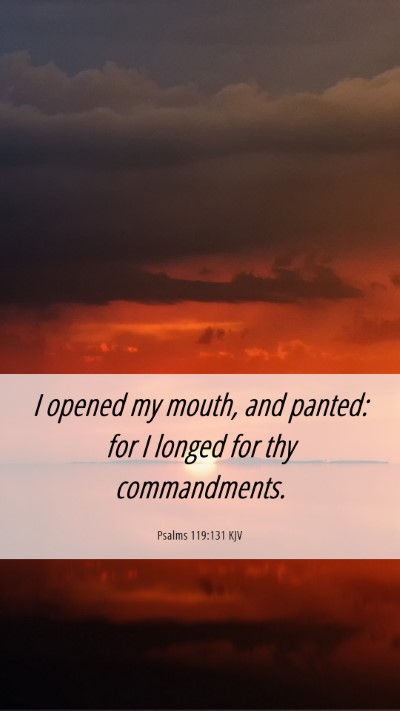 Picture 06 - Psalms 119:131 KJV Mobile Phone Wallpaper - I opened my mouth, and panted: for I longed for - Mobile Bible Verse Wallpaper