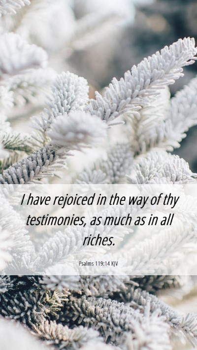 Picture 06 - Psalms 119:14 KJV Mobile Phone Wallpaper - I have rejoiced in the way of thy testimonies, as - Mobile Bible Verse Wallpaper