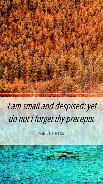 Picture 06 - Psalms 119:141 KJV Mobile Phone Wallpaper - I am small and despised: yet do not I forget thy - Mobile Bible Verse Wallpaper
