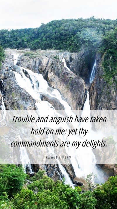 Picture 06 - Psalms 119:143 KJV Mobile Phone Wallpaper - Trouble and anguish have taken hold on me: yet - Mobile Bible Verse Wallpaper