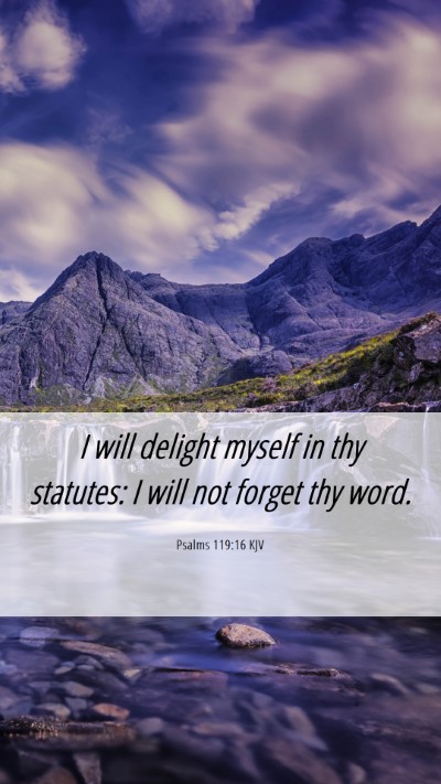 Picture 06 - Psalms 119:16 KJV Mobile Phone Wallpaper - I will delight myself in thy statutes: I will not - Mobile Bible Verse Wallpaper
