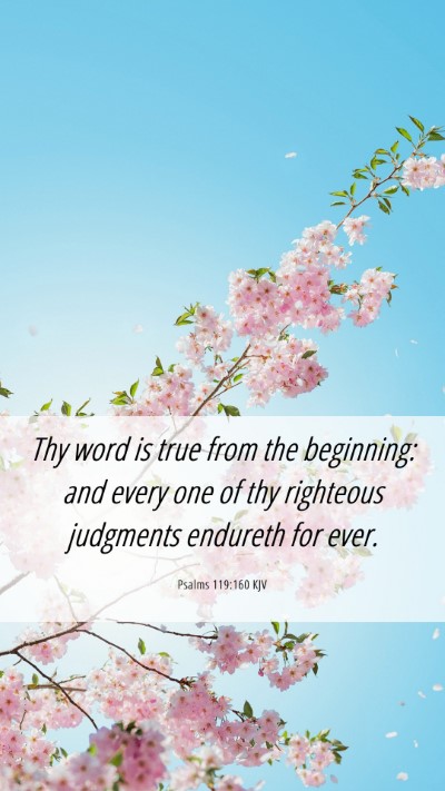 Picture 06 - Psalms 119:160 KJV Mobile Phone Wallpaper - Thy word is true from the beginning: and every - Mobile Bible Verse Wallpaper