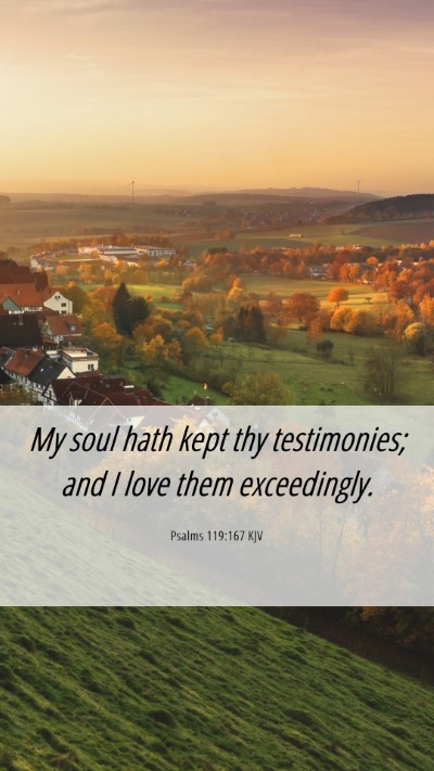 Picture 06 - Psalms 119:167 KJV Mobile Phone Wallpaper - My soul hath kept thy testimonies; and I love - Mobile Bible Verse Wallpaper