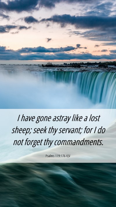 Picture 06 - Psalms 119:176 KJV Mobile Phone Wallpaper - I have gone astray like a lost sheep; seek thy - Mobile Bible Verse Wallpaper