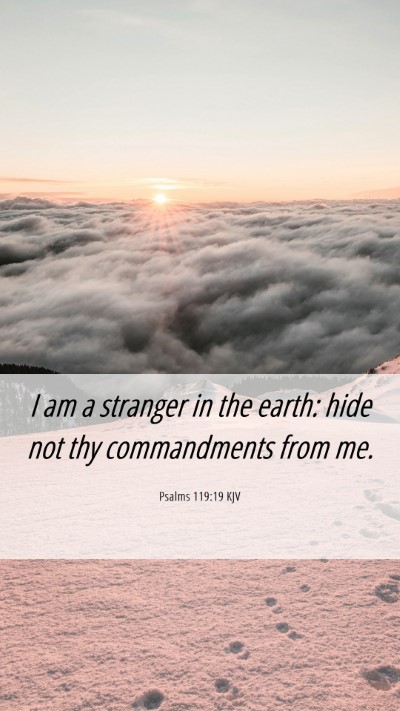Picture 06 - Psalms 119:19 KJV Mobile Phone Wallpaper - I am a stranger in the earth: hide not thy - Mobile Bible Verse Wallpaper