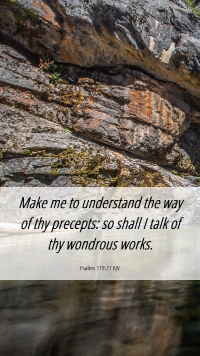 Picture 06 - Psalms 119:27 KJV Mobile Phone Wallpaper - Make me to understand the way of thy precepts: so - Mobile Bible Verse Wallpaper