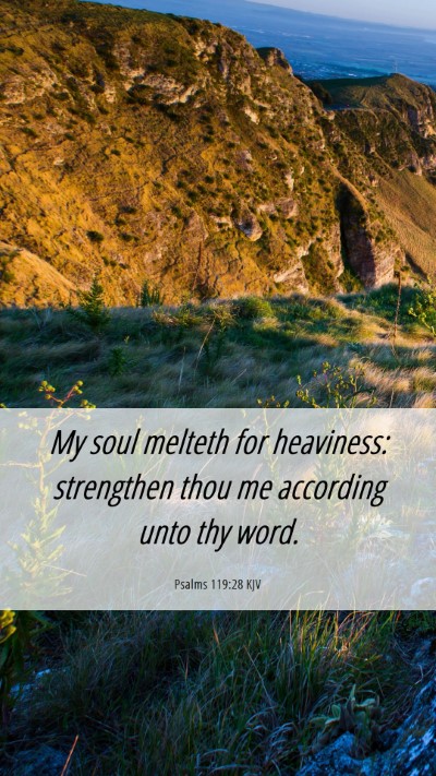 Picture 06 - Psalms 119:28 KJV Mobile Phone Wallpaper - My soul melteth for heaviness: strengthen thou me - Mobile Bible Verse Wallpaper