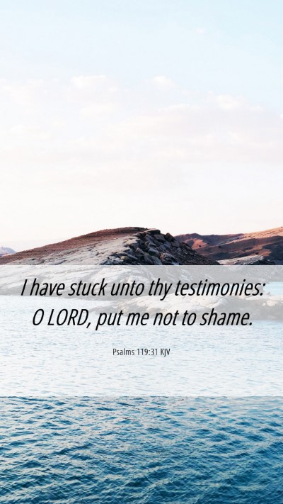 Picture 06 - Psalms 119:31 KJV Mobile Phone Wallpaper - I have stuck unto thy testimonies: O LORD, put me - Mobile Bible Verse Wallpaper