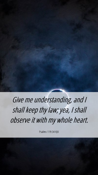 Picture 06 - Psalms 119:34 KJV Mobile Phone Wallpaper - Give me understanding, and I shall keep thy law; - Mobile Bible Verse Wallpaper