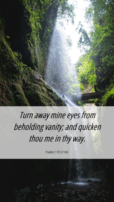 Picture 06 - Psalms 119:37 KJV Mobile Phone Wallpaper - Turn away mine eyes from beholding vanity; and - Mobile Bible Verse Wallpaper
