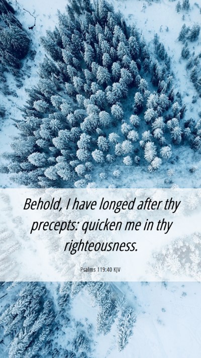 Picture 06 - Psalms 119:40 KJV Mobile Phone Wallpaper - Behold, I have longed after thy precepts: quicken - Mobile Bible Verse Wallpaper