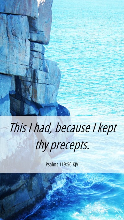 Picture 06 - Psalms 119:56 KJV Mobile Phone Wallpaper - This I had, because I kept thy - Mobile Bible Verse Wallpaper