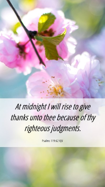 Picture 06 - Psalms 119:62 KJV Mobile Phone Wallpaper - At midnight I will rise to give thanks unto thee - Mobile Bible Verse Wallpaper