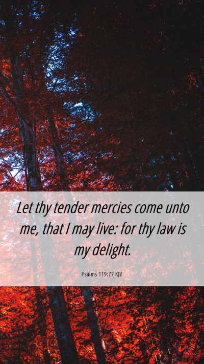 Picture 06 - Psalms 119:77 KJV Mobile Phone Wallpaper - Let thy tender mercies come unto me, that I may - Mobile Bible Verse Wallpaper