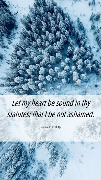 Picture 06 - Psalms 119:80 KJV Mobile Phone Wallpaper - Let my heart be sound in thy statutes; that I be - Mobile Bible Verse Wallpaper