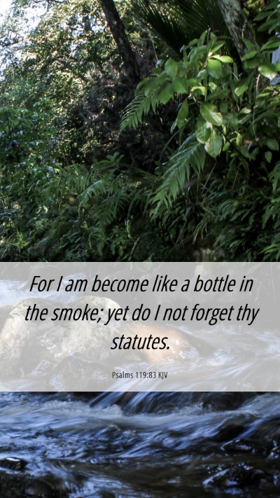 Picture 06 - Psalms 119:83 KJV Mobile Phone Wallpaper - For I am become like a bottle in the smoke; yet - Mobile Bible Verse Wallpaper