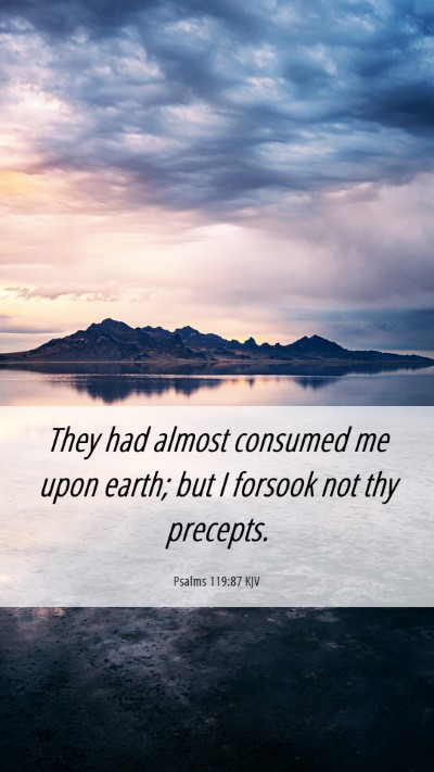 Picture 06 - Psalms 119:87 KJV Mobile Phone Wallpaper - They had almost consumed me upon earth; but I - Mobile Bible Verse Wallpaper