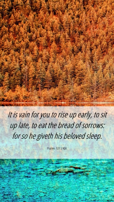 Picture 06 - Psalms 127:2 KJV Mobile Phone Wallpaper - It is vain for you to rise up early, to sit up - Mobile Bible Verse Wallpaper