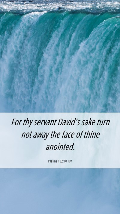 Picture 06 - Psalms 132:10 KJV Mobile Phone Wallpaper - For thy servant David's sake turn not away the - Mobile Bible Verse Wallpaper