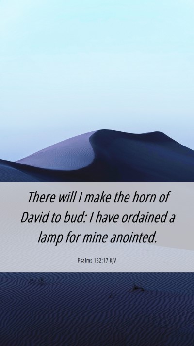 Picture 06 - Psalms 132:17 KJV Mobile Phone Wallpaper - There will I make the horn of David to bud: I - Mobile Bible Verse Wallpaper