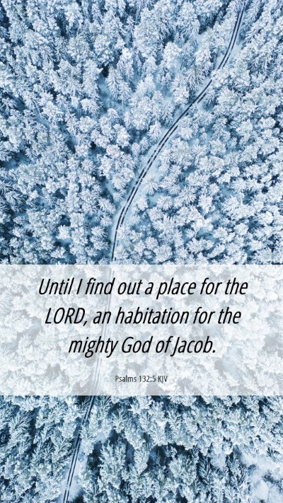 Picture 06 - Psalms 132:5 KJV Mobile Phone Wallpaper - Until I find out a place for the LORD, an - Mobile Bible Verse Wallpaper