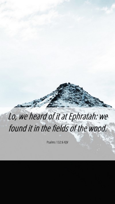Picture 06 - Psalms 132:6 KJV Mobile Phone Wallpaper - Lo, we heard of it at Ephratah: we found it in - Mobile Bible Verse Wallpaper