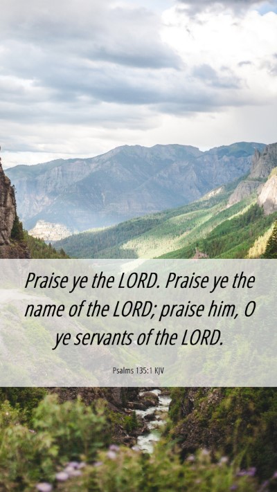 Picture 06 - Psalms 135:1 KJV Mobile Phone Wallpaper - Praise ye the LORD. Praise ye the name of the - Mobile Bible Verse Wallpaper
