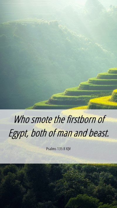 Picture 06 - Psalms 135:8 KJV Mobile Phone Wallpaper - Who smote the firstborn of Egypt, both of man and - Mobile Bible Verse Wallpaper