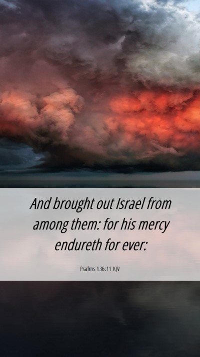 Picture 06 - Psalms 136:11 KJV Mobile Phone Wallpaper - And brought out Israel from among them: for his - Mobile Bible Verse Wallpaper