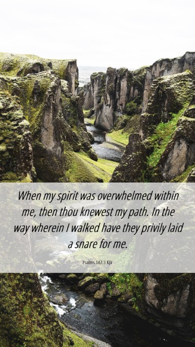 Picture 06 - Psalms 142:3 KJV Mobile Phone Wallpaper - When my spirit was overwhelmed within me, then - Mobile Bible Verse Wallpaper