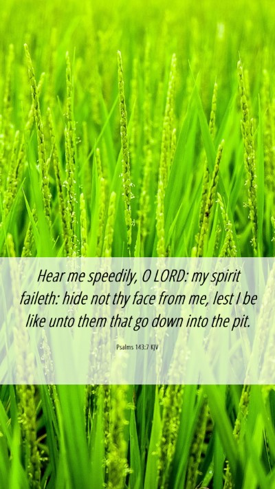 Picture 06 - Psalms 143:7 KJV Mobile Phone Wallpaper - Hear me speedily, O LORD: my spirit faileth: hide - Mobile Bible Verse Wallpaper