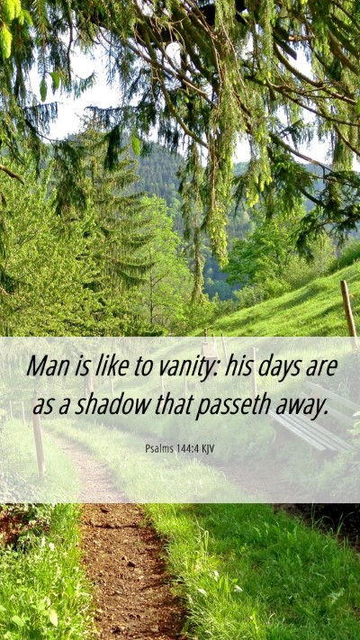 Picture 06 - Psalms 144:4 KJV Mobile Phone Wallpaper - Man is like to vanity: his days are as a shadow - Mobile Bible Verse Wallpaper