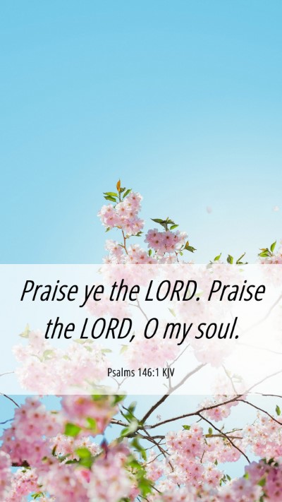Picture 06 - Psalms 146:1 KJV Mobile Phone Wallpaper - Praise ye the LORD. Praise the LORD, O my - Mobile Bible Verse Wallpaper