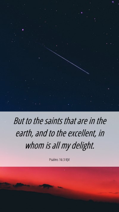 Picture 06 - Psalms 16:3 KJV Mobile Phone Wallpaper - But to the saints that are in the earth, and to - Mobile Bible Verse Wallpaper