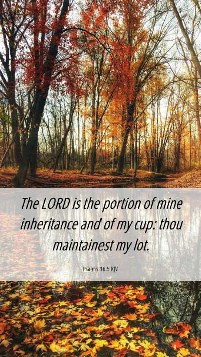 Picture 06 - Psalms 16:5 KJV Mobile Phone Wallpaper - The LORD is the portion of mine inheritance and - Mobile Bible Verse Wallpaper