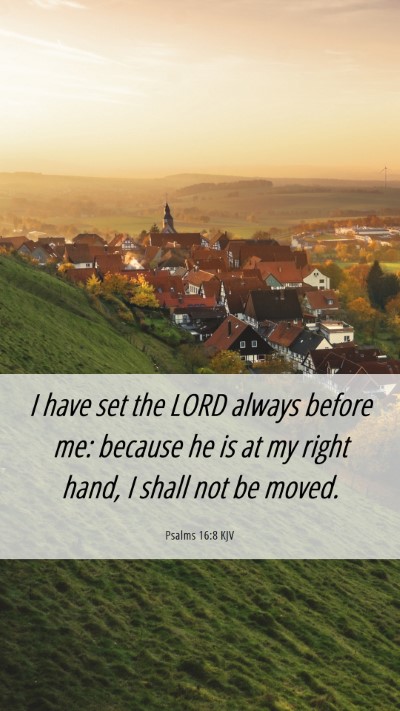 Picture 06 - Psalms 16:8 KJV Mobile Phone Wallpaper - I have set the LORD always before me: because he - Mobile Bible Verse Wallpaper