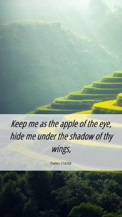 Picture 06 - Psalms 17:8 KJV Mobile Phone Wallpaper - Keep me as the apple of the eye, hide me under - Mobile Bible Verse Wallpaper