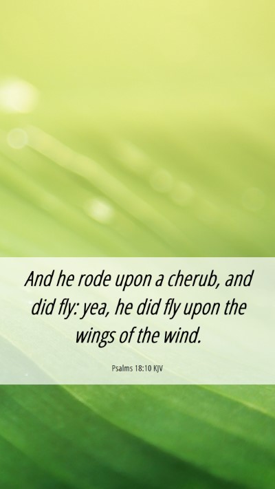 Picture 06 - Psalms 18:10 KJV Mobile Phone Wallpaper - And he rode upon a cherub, and did fly: yea, he - Mobile Bible Verse Wallpaper