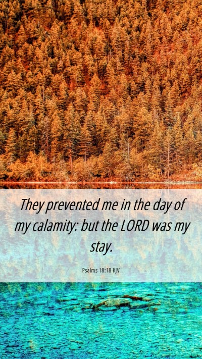 Picture 06 - Psalms 18:18 KJV Mobile Phone Wallpaper - They prevented me in the day of my calamity: but - Mobile Bible Verse Wallpaper