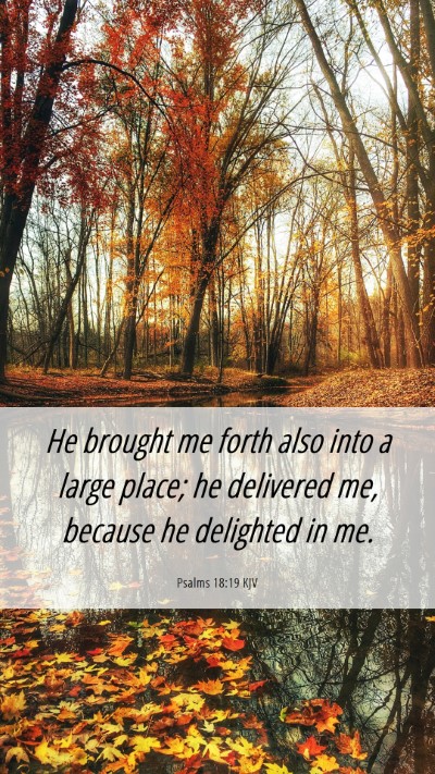Picture 06 - Psalms 18:19 KJV Mobile Phone Wallpaper - He brought me forth also into a large place; he - Mobile Bible Verse Wallpaper