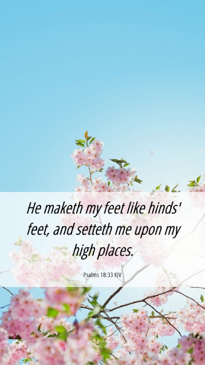 Picture 06 - Psalms 18:33 KJV Mobile Phone Wallpaper - He maketh my feet like hinds' feet, and setteth - Mobile Bible Verse Wallpaper