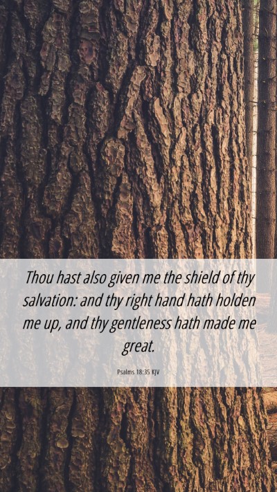 Picture 06 - Psalms 18:35 KJV Mobile Phone Wallpaper - Thou hast also given me the shield of thy - Mobile Bible Verse Wallpaper