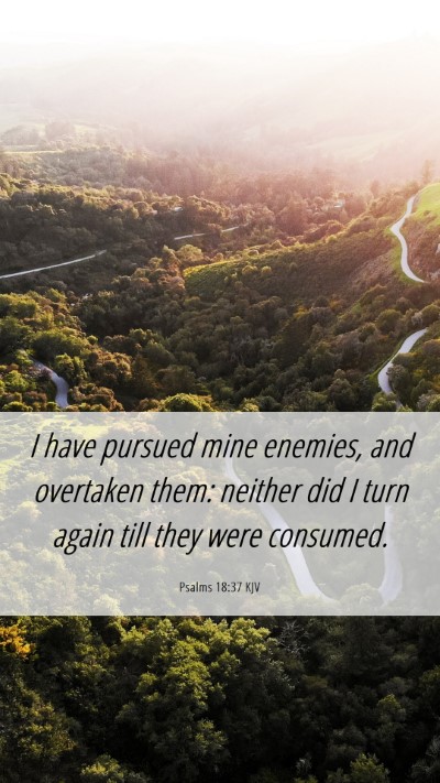 Picture 06 - Psalms 18:37 KJV Mobile Phone Wallpaper - I have pursued mine enemies, and overtaken them: - Mobile Bible Verse Wallpaper
