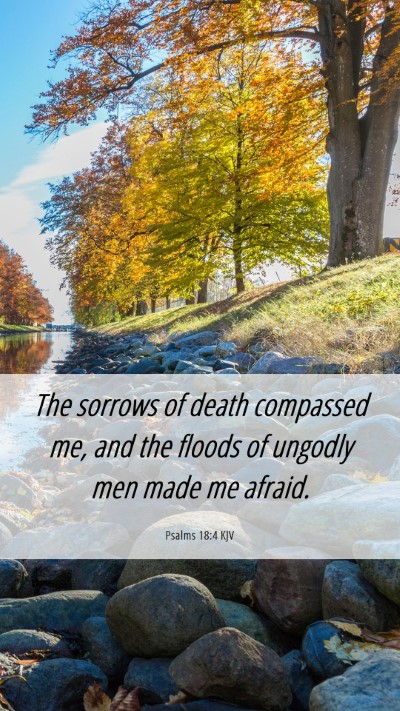 Picture 06 - Psalms 18:4 KJV Mobile Phone Wallpaper - The sorrows of death compassed me, and the floods - Mobile Bible Verse Wallpaper