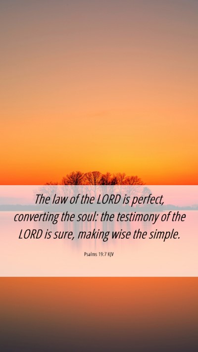 Picture 06 - Psalms 19:7 KJV Mobile Phone Wallpaper - The law of the LORD is perfect, converting the - Mobile Bible Verse Wallpaper